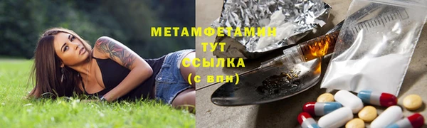 ПСИЛОЦИБИНОВЫЕ ГРИБЫ Кукмор