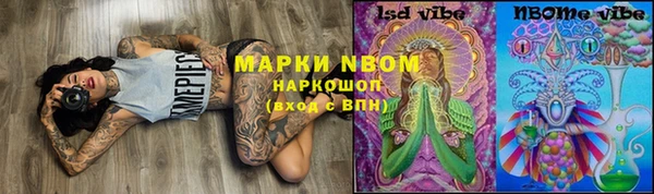 ПСИЛОЦИБИНОВЫЕ ГРИБЫ Кукмор