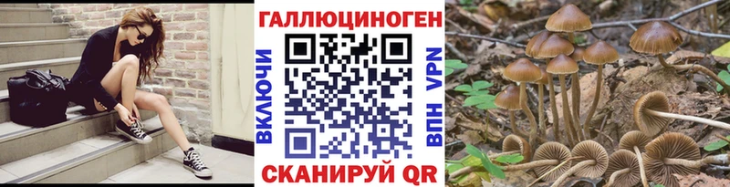 где купить наркоту  Малмыж  Псилоцибиновые грибы мицелий 